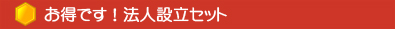 お得です！法人設立セット